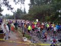 At the Start